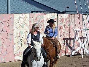 Estes park horse pics With Cintia