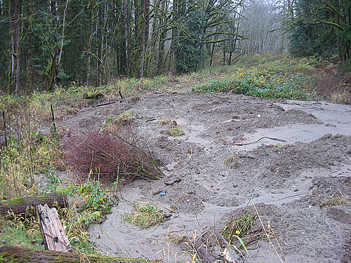 Mudslide Flickr, WSDOT
