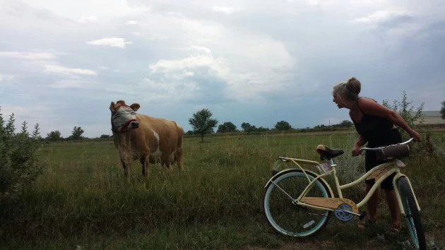 Banana, Bike