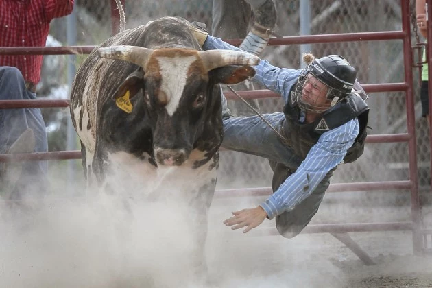 Bull-Riding