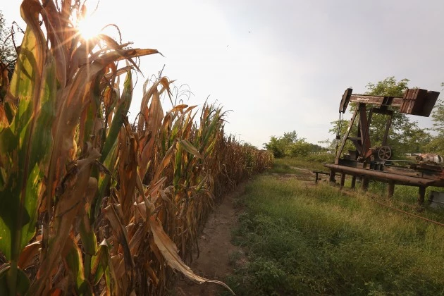Midwest Farmers Continue To Struggle Against Extended Drought