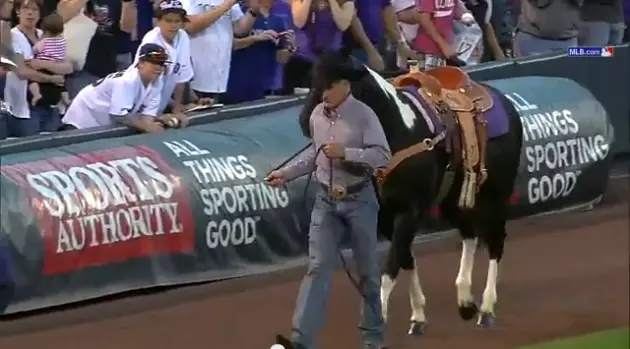 Helto's Horse
