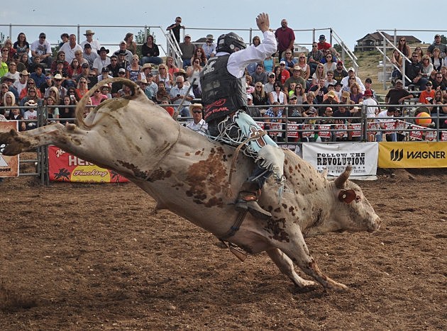 Cowboy vs Bull -Bulls on the Beach 2014 Cowboy vs Bull -Bulls on the Beach 2014