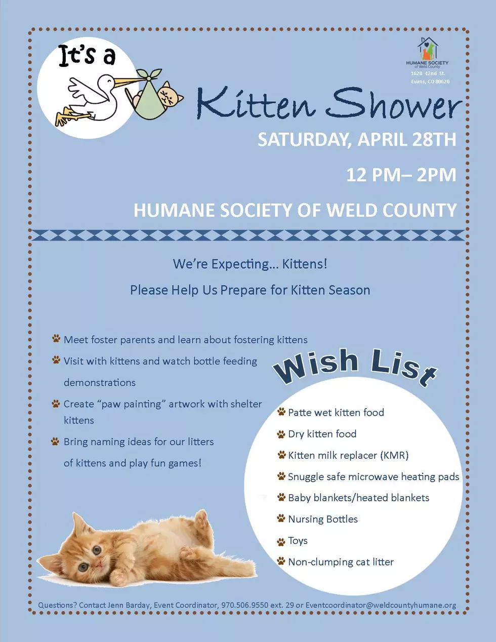 Kitten Shower at the Humane Society of Weld County