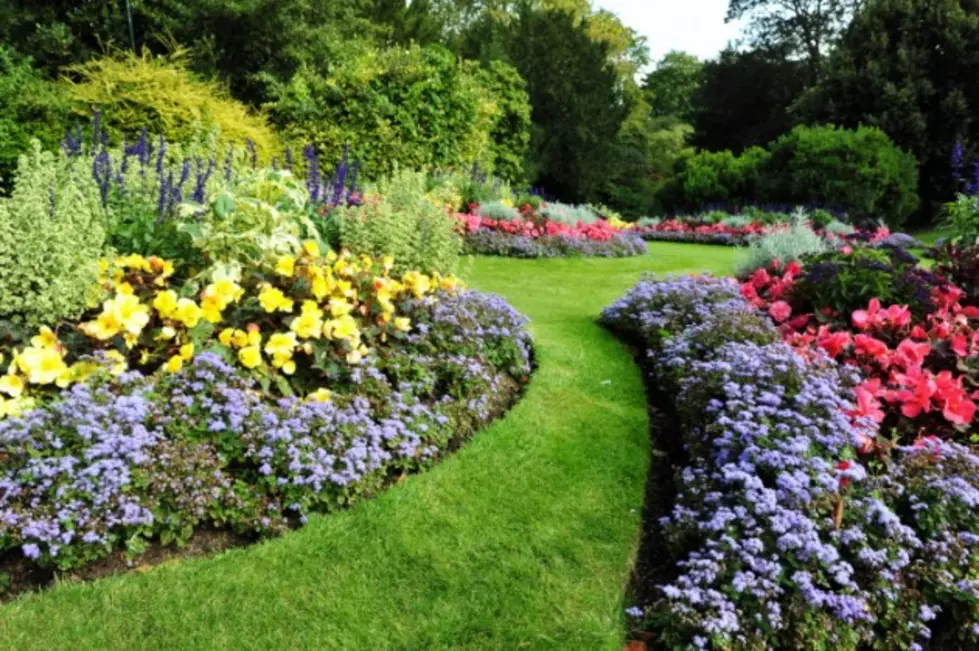 Fort Collins — It’s Time for the Annual Spring Plant Sale at the Gardens on Spring Creek