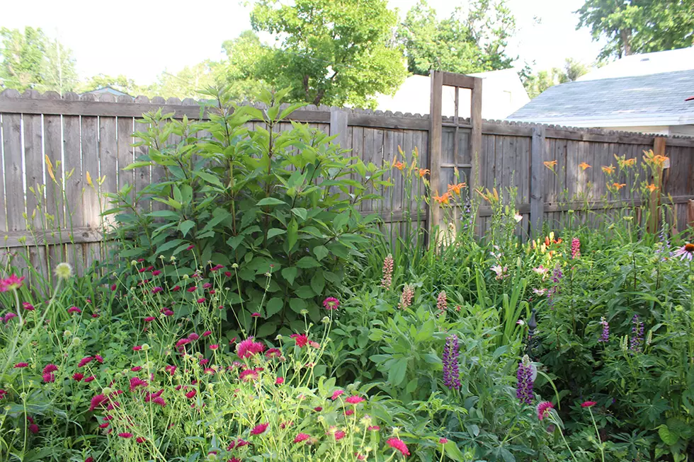 22nd Annual Greeley Garden Tour: Saturday, June 27th