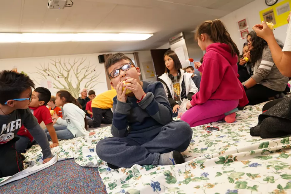 Feeding NoCo Update: Money Raised So Far Can Feed 32 Families