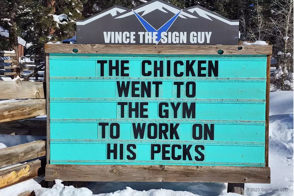 The Best Vince The Sign Guy Daily Signs in 2023 (So Far)