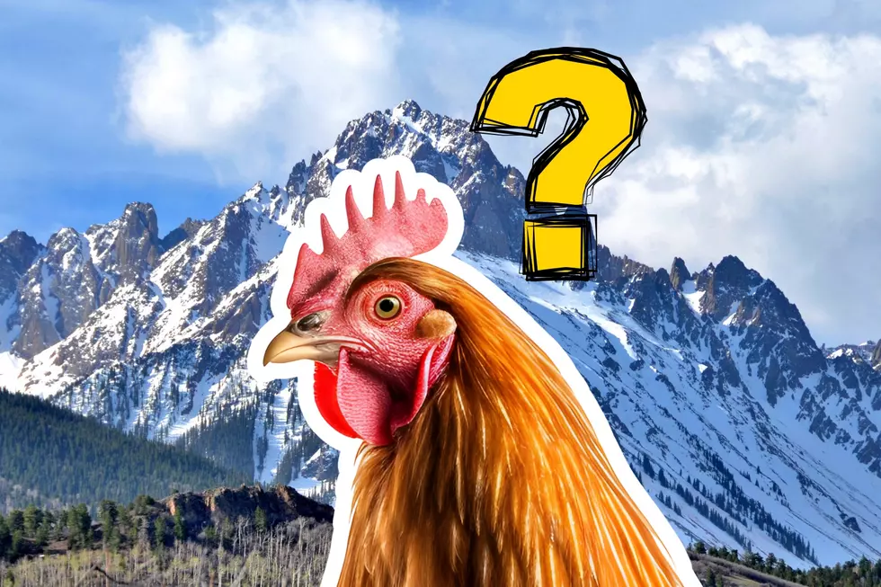 Deadly Chicken Recall in Colorado Affects Target, Walmart and More