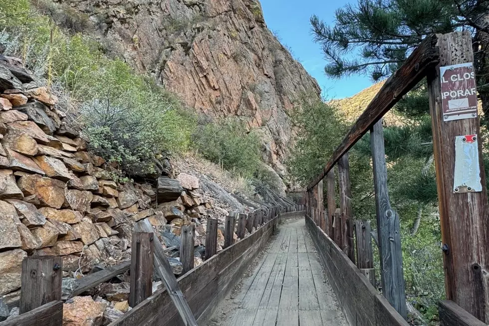 Hike Along a Historic Wooden Flume on this Colorado Trail