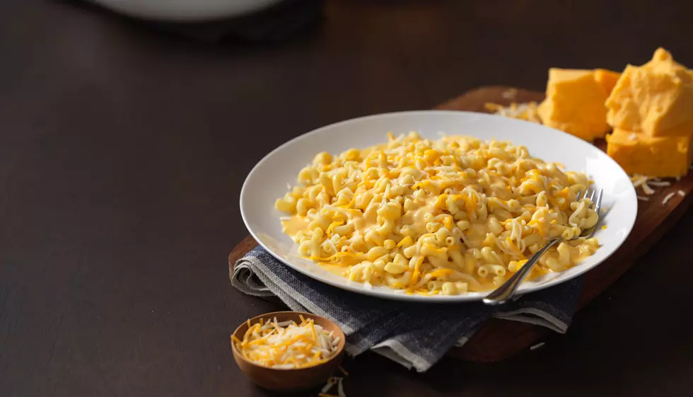 Colorado’s Noodles & Company Unveils New Menu Items