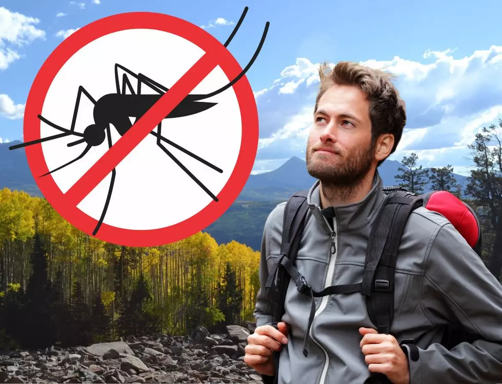 These Colors Will Practically Invite Mosquitoes to Bite You in Colorado