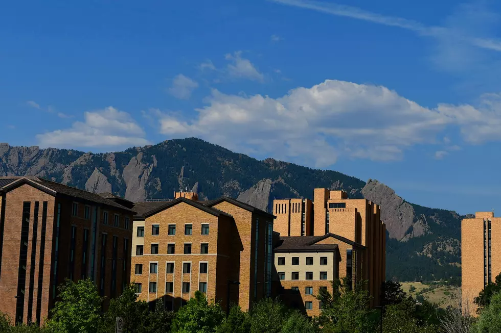 Colorado Scientists Create Single-Dose Rabies Vaccine That Survives Heat