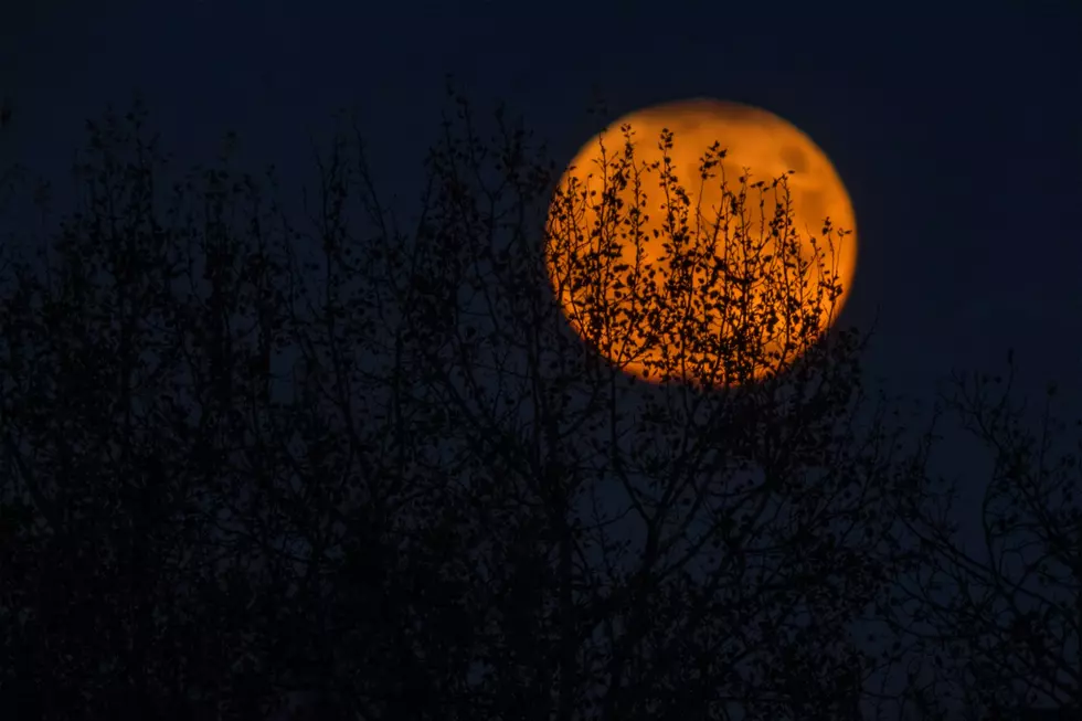 Your Guide to the Scariest Haunted Attractions in Northern Colorado