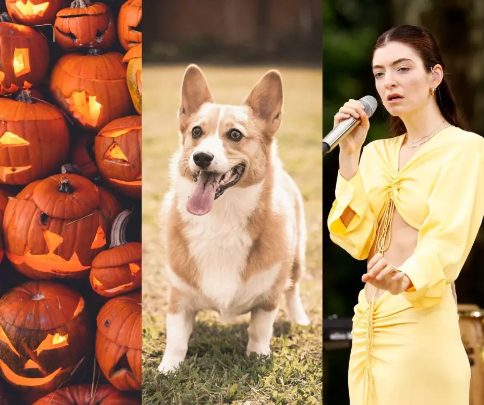 Your Unofficial Guide to October Events in Northern Colorado