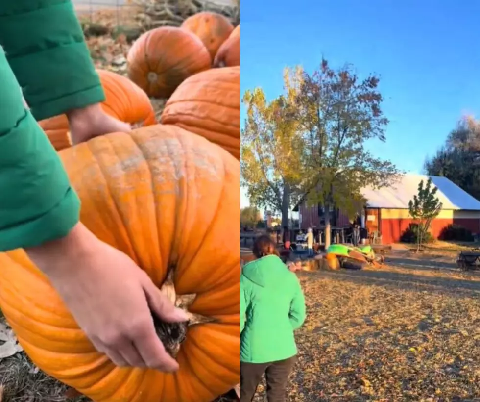 I Finally Visited This Loveland Pumpkin Patch — And It Was So Worth the Wait
