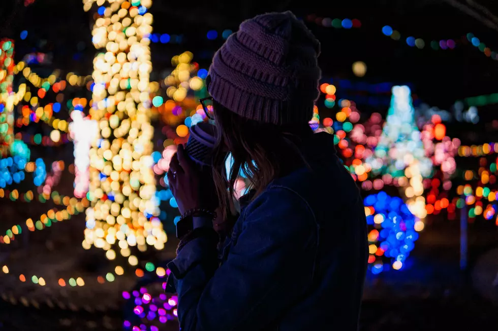 Where to See the Most Magical Holiday Lights in Northern Colorado
