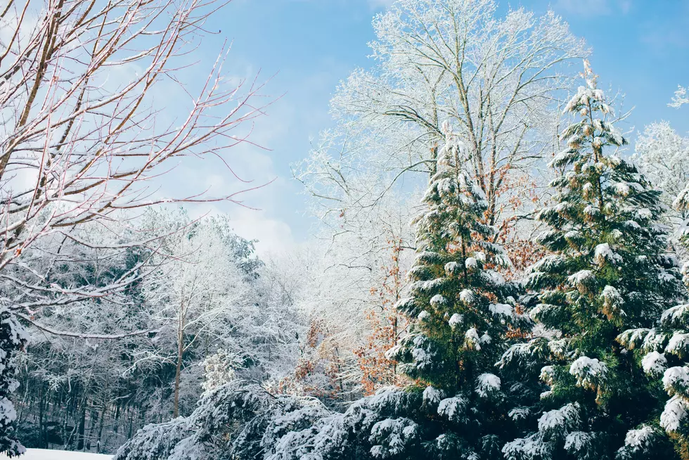 Will Colorado See a White Christmas in 2025? Here’s What the Forecast Says