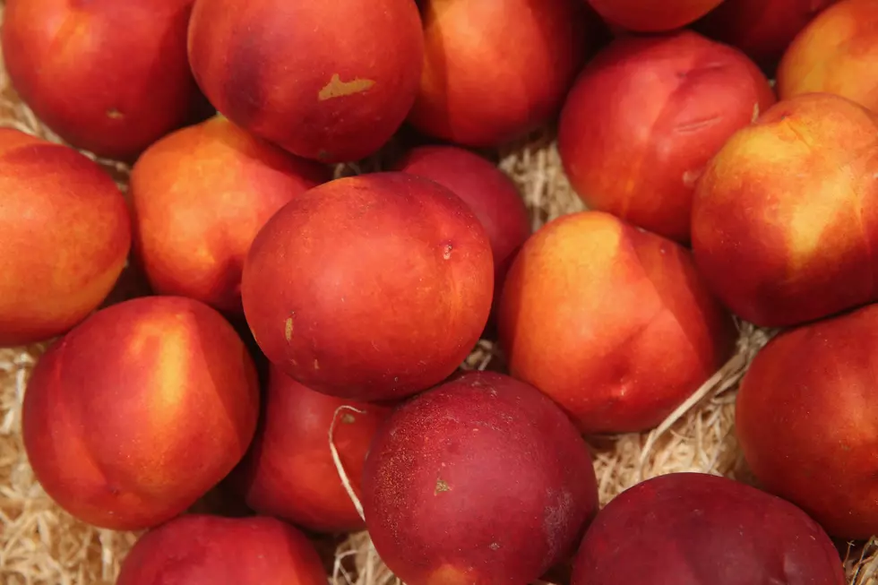 New Location, New Peach Drink -Fort Collins Peach Festival This Weekend